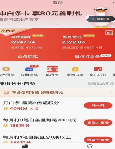 白条出来一个付费额度怎么回事