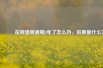 花呗：先享后付的消费信贷产品