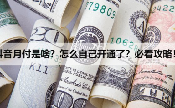 月付支付是什么意思